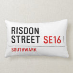 RISDON STREET  Pillows (Lumbar)