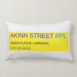 Akinn Street  Pillows (Lumbar)