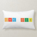 Chem Club  Pillows (Lumbar)
