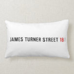 James Turner Street  Pillows (Lumbar)
