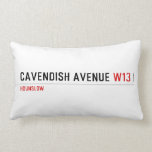 Cavendish avenue  Pillows (Lumbar)