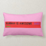 Hannah is awesome   Pillows (Lumbar)