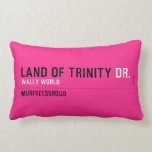 land of trinity  Pillows (Lumbar)