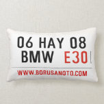 06 HAY 08  BMW   Pillows (Lumbar)