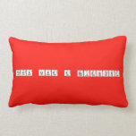Think like a scientist  Pillows (Lumbar)