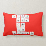 KEEP
 CALM
 AND
 DO
 SCIENCE  Pillows (Lumbar)