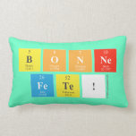 bonne
 fete!  Pillows (Lumbar)
