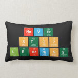 Never
 Stop 
 Learning  Pillows (Lumbar)