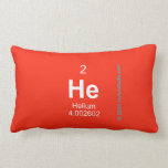 HE  Pillows (Lumbar)