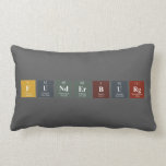 funderburg  Pillows (Lumbar)