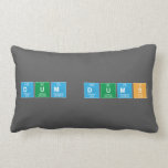 Dum Dums  Pillows (Lumbar)