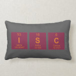 IS|C  Pillows (Lumbar)