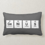 Genius  Pillows (Lumbar)