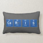Caris  Pillows (Lumbar)