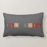 Noah Toma  Pillows (Lumbar)