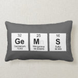 GEMS  Pillows (Lumbar)