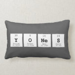 yones  Pillows (Lumbar)