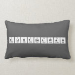 EliotGelwan  Pillows (Lumbar)