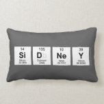 SIDNEY  Pillows (Lumbar)