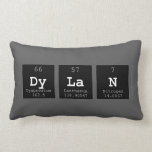 Dylan  Pillows (Lumbar)