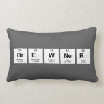 Brewner  Pillows (Lumbar)