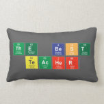 The Best
 Teacher  Pillows (Lumbar)