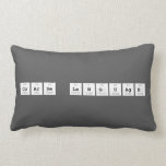 Coarse Language  Pillows (Lumbar)