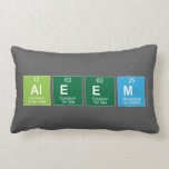 Aleem  Pillows (Lumbar)