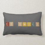 MS OBrien  Pillows (Lumbar)