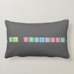 Mac Swineford  Pillows (Lumbar)