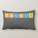 SHAHAB
 
   Pillows (Lumbar)