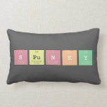 Spunky  Pillows (Lumbar)