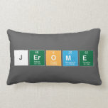 Jerome  Pillows (Lumbar)