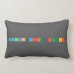AdaLyn MaRIE kruEger  Pillows (Lumbar)