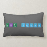 Lalit yadav  Pillows (Lumbar)