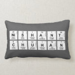 Nishant
 Chuhan  Pillows (Lumbar)