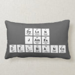 Dylan
 James
 DelBianco  Pillows (Lumbar)