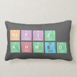 Nafiz 
 Ahmed  Pillows (Lumbar)