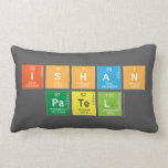 Ishan
 Patel  Pillows (Lumbar)