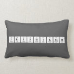 Hrishikesh   Pillows (Lumbar)