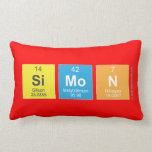 simon  Pillows (Lumbar)
