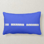 
 Ms pettys classroom  Pillows (Lumbar)