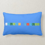 Jaelyn Wardell  Pillows (Lumbar)
