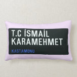 T.C İSMAİL KARAMEHMET  Pillows (Lumbar)