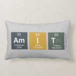 amit  Pillows (Lumbar)