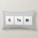 STEM  Pillows (Lumbar)