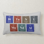 Bitanu
 Mondal  Pillows (Lumbar)