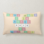 felices pascuas
 y un 
 prospero
 2019
 con
 luis feliu  Pillows (Lumbar)