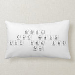 School:
 Aint nobody
 got time for
 That  Pillows (Lumbar)
