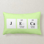 JECA  Pillows (Lumbar)